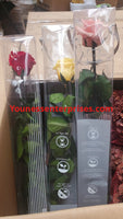 Pallet #19377 Units: 267 Retail Value: $2 595.83 Shelf Pulls Preserved Roses General Merchandise